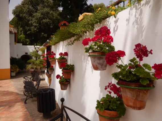 Jardin Botánico Molino de Inca. - panoramio
