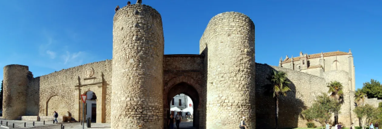 Murallas & Puerta de Almocábar