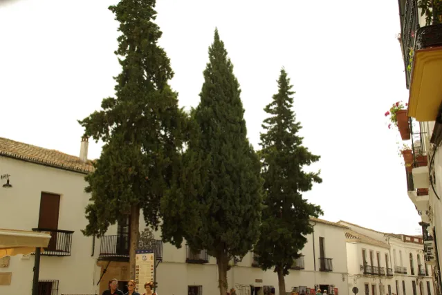 ® S.D. (ES,EN) RONDA MUSEO TEMATICO LARA - panoramio (1)