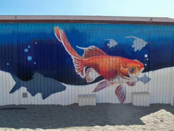 Murals at Guadalmar Beach 02