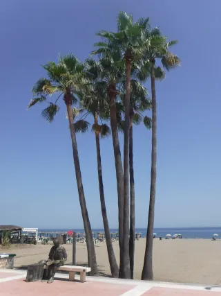 Playa de la Rada, Estepona 01
