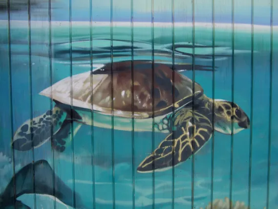 Mural by Lalone in San Andrés Beach 04