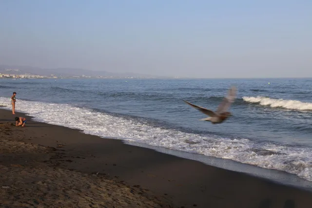 Playa de San Pedro de Alcántara