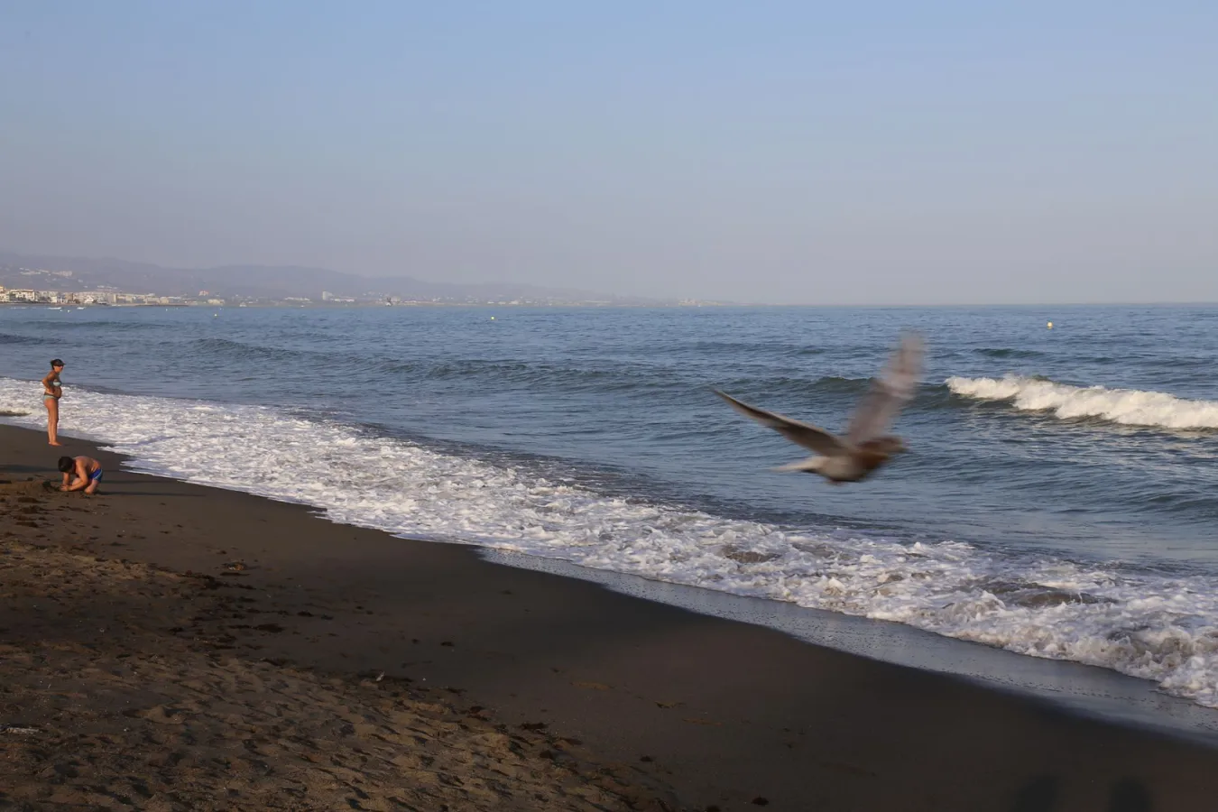 Playa de San Pedro Alcántara (15848276050)