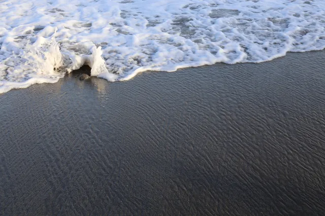 Playa de San Pedro Alcántara (16034850362)