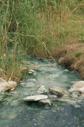 Roman sulphur springs (2874387193)