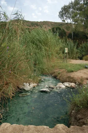 Roman sulphur springs (2874386955)