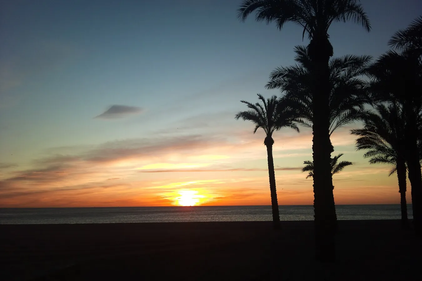 Playa de los alamos