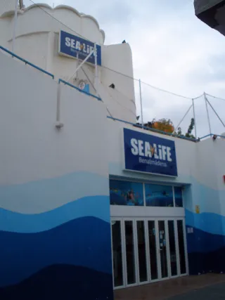 Benalmádena - Sea Life Benalmádena 3