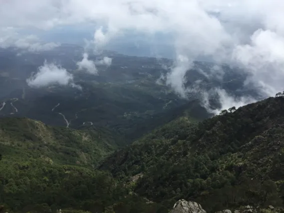 Sierra Bermeja & Los Reales