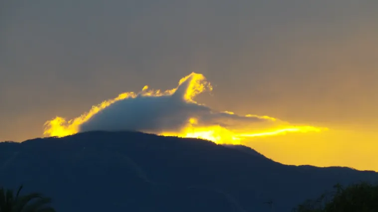Delfin sobre puesta de sol en Sierra Bermeja JBGL