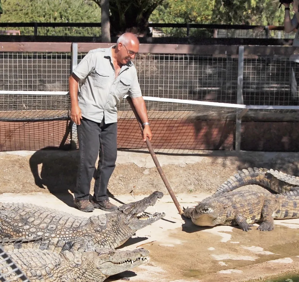 Torremolinos - Crocodile Park2